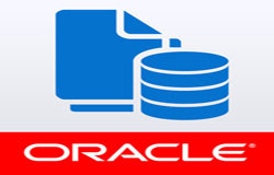 Oracle数据库管理工具有哪些?-重庆软件开发公司