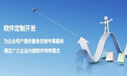 软件系统开发为什么越来越偏向定制系统开发？软件外包开发公司