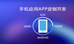 APP开发市场上常见问题分析-重庆软件开发公司